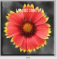 /album/photo-gallery-canvas-uri/decoratiuni-de-perete-canvas-lc-0051-jpg/